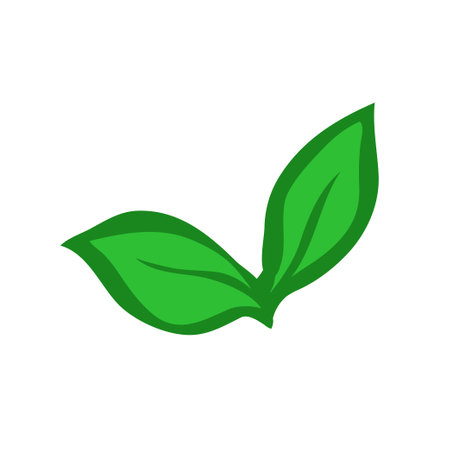 Fresh green leaf basil. Delicious and appetizing food. Cooking and lunch. Cartoon vector illustration isolated on white background. hand drawn sketchのイラスト素材