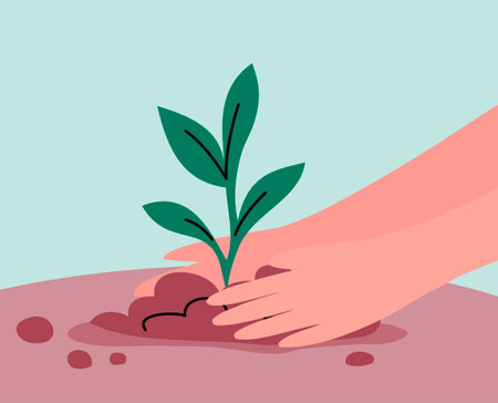 Green sprout of a plant. human hands. Young seedling in the ground. Ecology symbol. springtime. gardening outdoors. Caring for nature and ecology. flat vector illustrationのイラスト素材