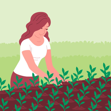 The young woman planted a young seedling in the ground. gardening outdoors. Growing and caring for plants in a greenhouse. Vector cartoon illustrationのイラスト素材