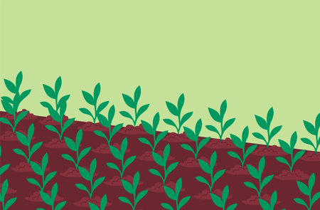 Green sprouts of a plant. Young seedling in the ground. garden bed. gardening outdoors. Caring for nature and ecology. flat vector illustrationのイラスト素材
