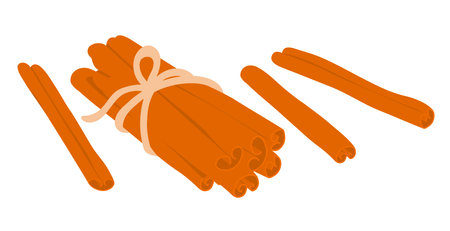 Aromatic spice cinnamon. Ingredient for cooking. Brown herb isolated on white background. flat vector illustrationのイラスト素材