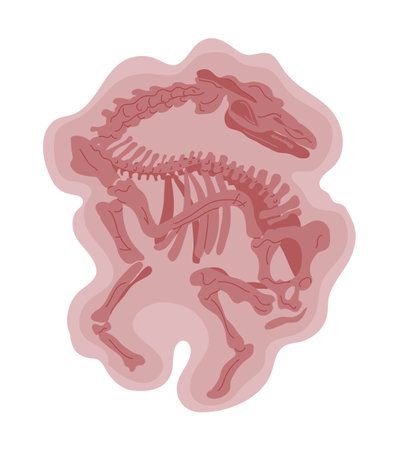 Dinosaur skeleton. Ancient lizard. Scary monster predator with teeth. The science of paleontology. Archeology and fossils. Cartoon vector illustration isolated on white backgroundのイラスト素材