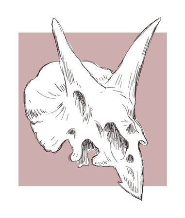 Dinosaur skull skeleton. Hooded horned lizard triceratops. Scary monster predator with teeth. The science of paleontology. Vector art illustration sketch. hand drawn ink. drawing lineのイラスト素材