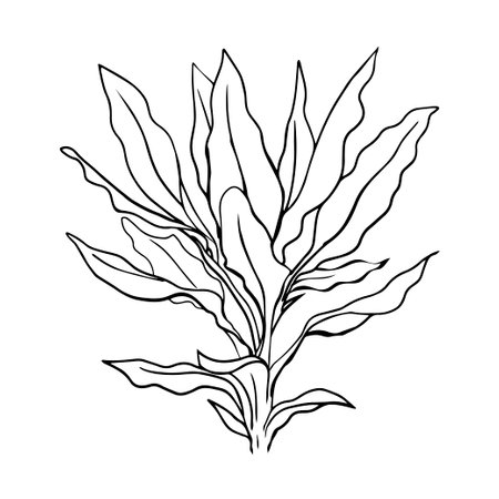 Decorative home flower. green plant. Cartoon vector art illustration isolated on white background. Hand drawn outline black and whiteのイラスト素材