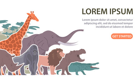 African animals set. Big elephant, giraffe, rhinoceros, lion and zebra. Herbivorous and carnivorous. Wildlife mammal. fauna zoology. Flat vector collection illustration. Design for banner, websiteのイラスト素材