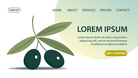Glass bottle of olive oil. Branch of olive. Italian cuisine. Useful food ingredient for a recipe. Healthy diet food. Italy plant. Vector cartoon illustration. Design for website, bannerのイラスト素材