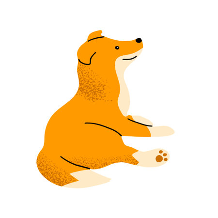 Red collie dog. Cute friendly pet. Flat vector illustration isolated on white backgroundのイラスト素材