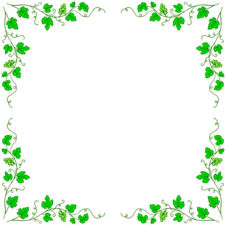 Ornamental frame with branches of green grapes. Vine pattern. Decoration and design for card, invitation, brochure. Vector art illustration on white backgroundのイラスト素材
