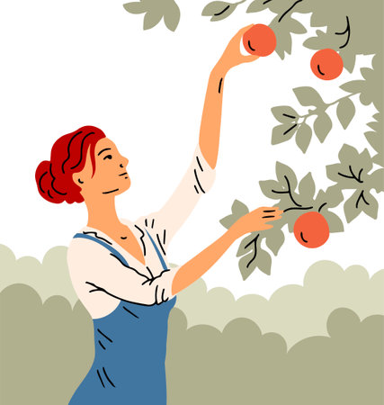 Woman is harvesting apples. A girl near an apple tree. Active people work on the farm in the garden. Autumn fruit season. Vector illustrationのイラスト素材
