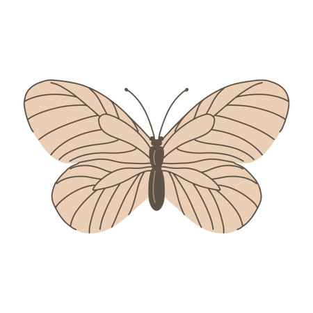 Hawthorn butterfly. Insect pest. View from above closeup. Problem in agriculture. Flat vector illustration isolated on white backgroundのイラスト素材
