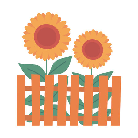 Sunflowers with yellow flowers behind a fence. Farming and rustic motif. Agricultural plant, sunflower oil. Cartoon vector illustration isolated on white backgroundのイラスト素材