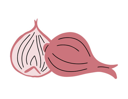 Onions on white background. Sliced vegetable. Healthy eating and diet. Natural vegetarian product with vitamins. Farm harvest. Cooking ingredient. Icon sign. Flat vector isolated illustrationのイラスト素材