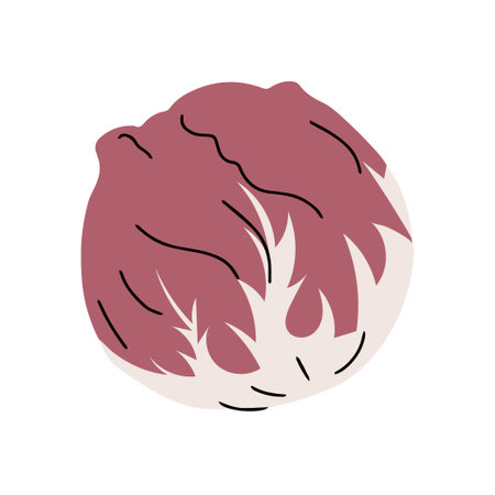 Red cabbage on white background. Fresh leaf vegetable. Healthy eating and diet. Natural vegetarian product with vitamins. Farm harvest. Cooking ingredient. Icon sign. Flat vector isolated illustrationのイラスト素材