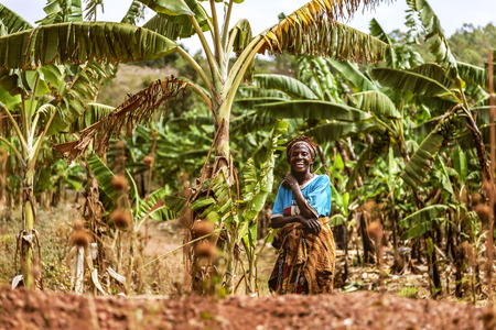 Kibuye, Rwanda, Africa - September 11, 2015:  Unidentified woman. The woman between banana trees looking and laughing seems happy.のeditorial素材