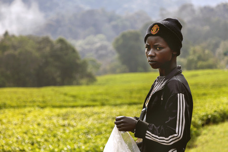 Kigali, Rwanda, Africa - September 7, 2015: Unidentified young girl. The Rwandan young girl. The worker young girl works on tea plantation.のeditorial素材