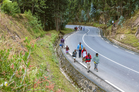 Kigali, Rwanda, Africa - September 6, 2015: Unidentified people. The asphalt road with trees. The African workers who go to work are walking on the road.のeditorial素材