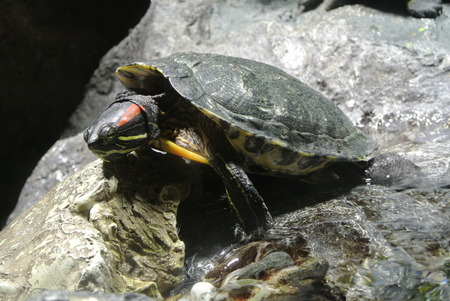 sliderの写真素材