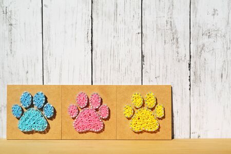 Dog footprintsの写真素材