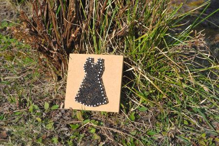 Black dressの写真素材