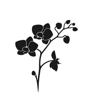 branch with flowers and leafs silhouette style icon vector illustration designのイラスト素材