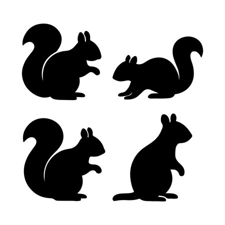 Squirrels set. Black silhouettes of animals. Vector illustration.のイラスト素材