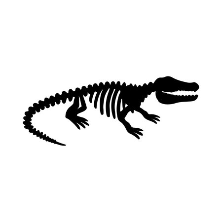 Crocodile skeleton icon. Silhouette of crocodile skeleton. Vector illustrationのイラスト素材