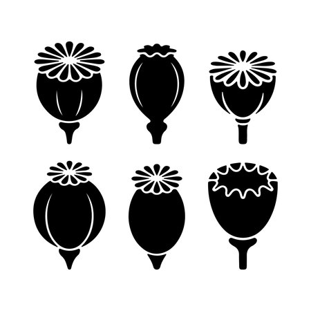 Poppy seed pod silhouette icon set botanical floral herb plant vector illustrationのイラスト素材