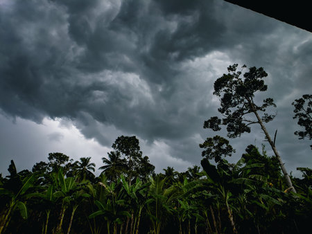 Rain rain go away, come again another day.