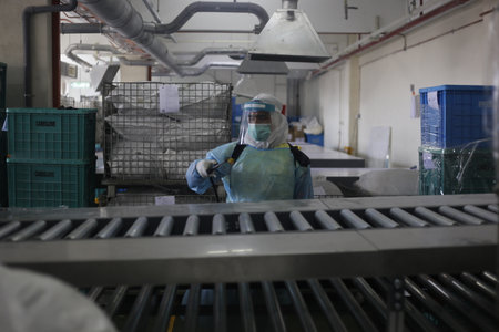 Seremban, November 15, 2020. Sanitation Operations at Top Glover Factory were carried out by Hazmat Special Team due to the increase in Covid-19 cases in the factory.のeditorial素材