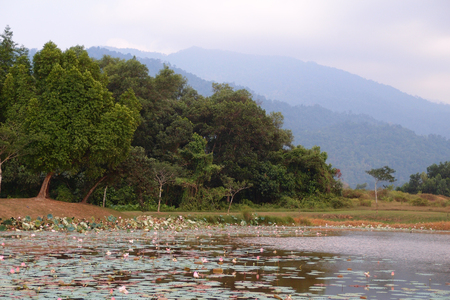 landscape view with lake and waterの写真素材