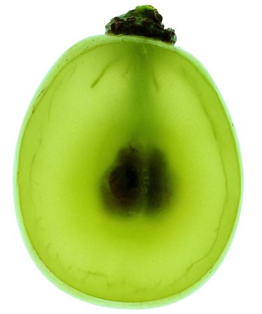 FRUITSの写真素材