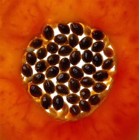 FRUITSの写真素材