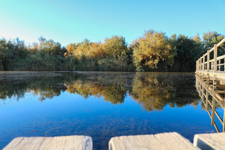 The Azraq Wetland Reserve is a nature reserve located near the town of Azraq in the eastern desert of Jordanの写真素材