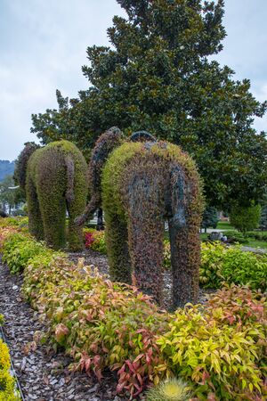 a beautiful public garden in Ordu city (north of Turkey) that configure animals-shapes made by grass and flowersの写真素材