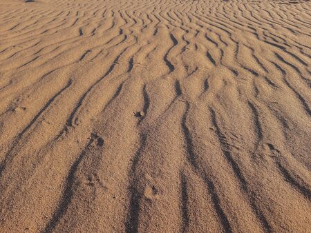 ripple marks in desert which forms by windの写真素材
