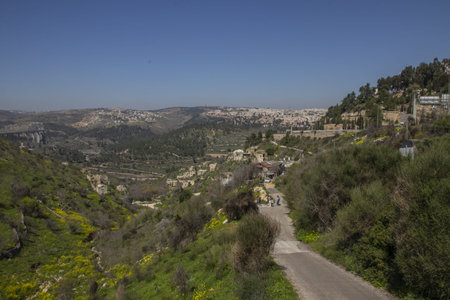Lifta is the last remaining Palestinian village that was depopulated in 1948, which was not either...