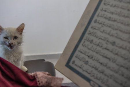 a beautiful kitten is sitting beside an old woman who read holy book during the quarantine period in...