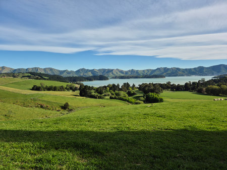 A stunning panoramic view of Orton Bradley Park with its lush green hills, scattered trees, and serene outlook over Lyttelton Harbour on Banks Peninsula, New Zealandの写真素材