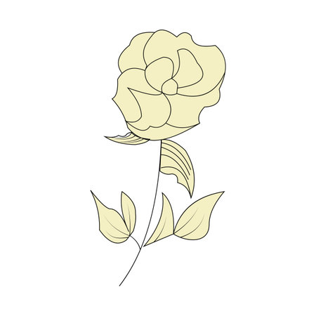 Hand drawn doodle rose. Vector illustration. Isolated on white background.のイラスト素材