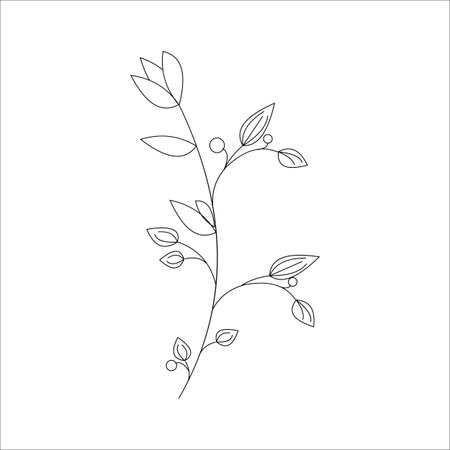 Elegant line art branch with leaves and berries. Vector illustration.のイラスト素材