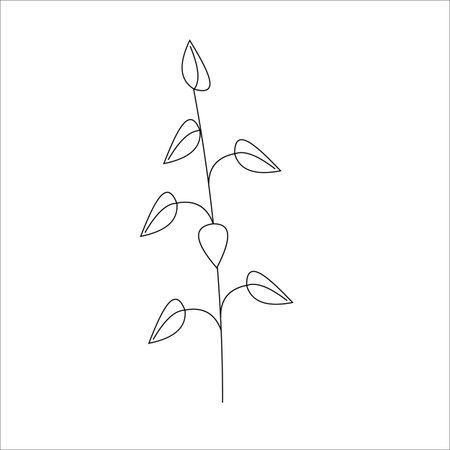 Continuous one line drawing of plant in minimal style. Vector illustrationのイラスト素材