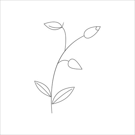Simple hand drawn doodle of a branch with leaves isolated on white backgroundのイラスト素材