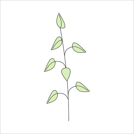 Plant with leaves vector illustration isolated on white background. Hand drawn doodle outline.のイラスト素材