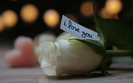 I love you card with white rose on wooden table and candles in backgroundの写真素材