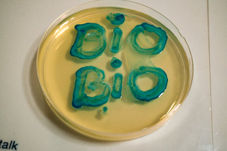 Petri dish with bacteria colonies on agar plate in laboratory.の写真素材