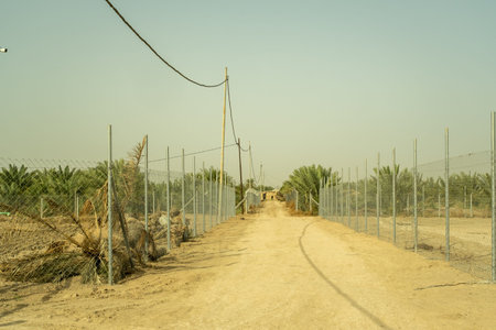 View of the construction site of a new residential area.