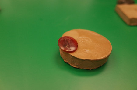 A round piece of clay with a red gemstone resting on top, set against a green backgroundのeditorial素材