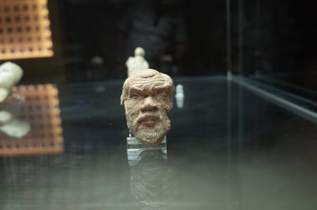 A detailed sculpture of a human head displayed in a glass case, showcasing intricate facial features...