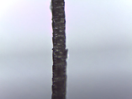 Micrograph showing intertwined keratin fibers, likely from cat hair, under magnification.