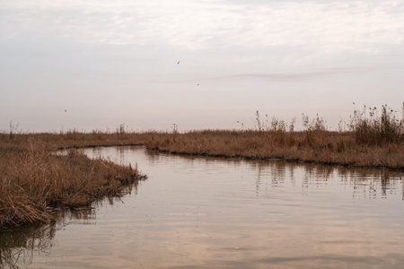 Hydrology of the Wetlands: Wave Propagation and Surface Tension Ripples in a Winding Mesopotamian...